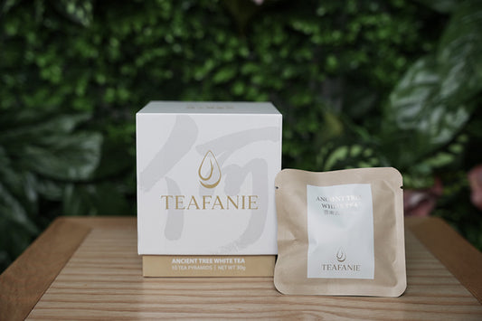 Ancient Tree White Tea