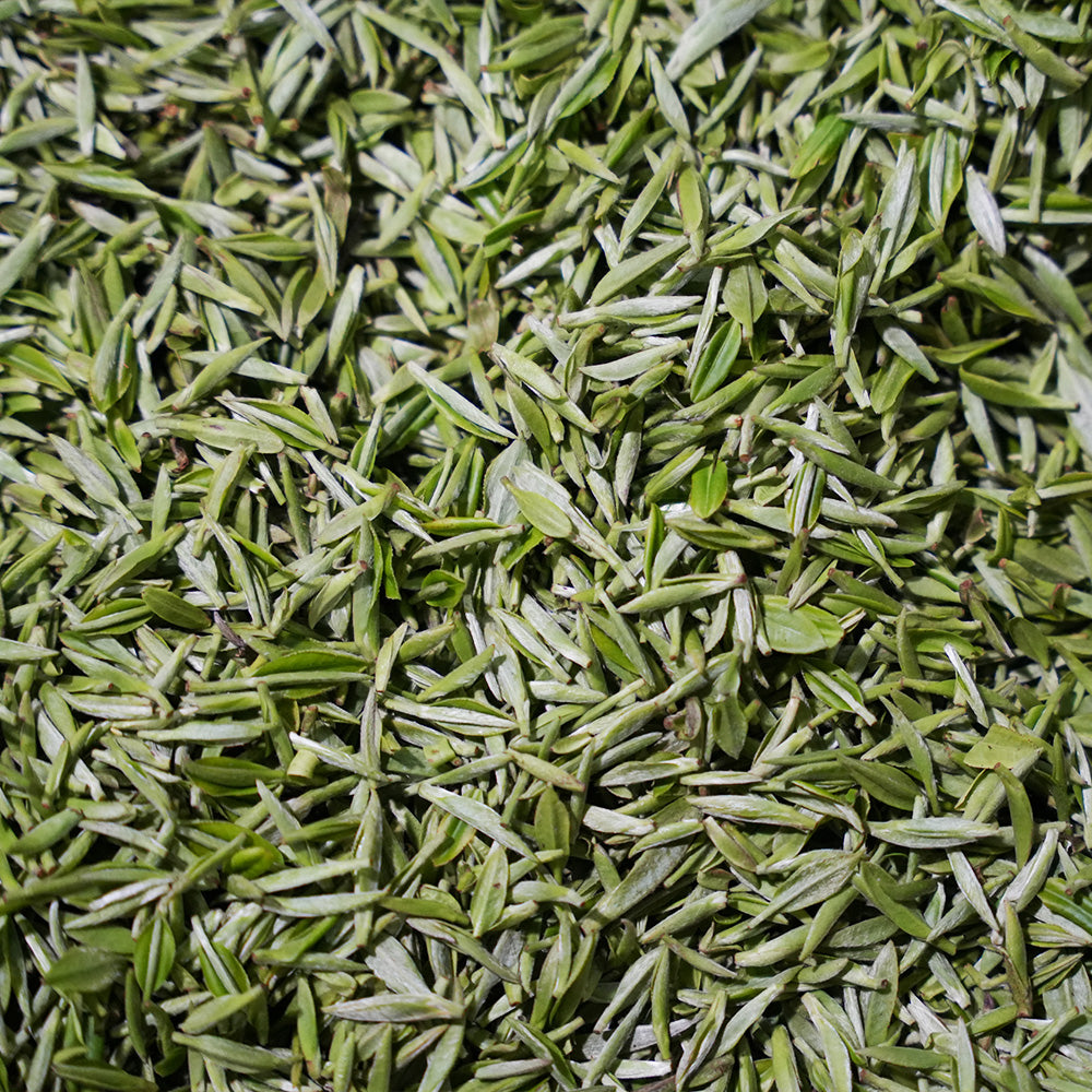 Green Tea