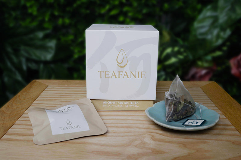 Ancient Tree White Tea