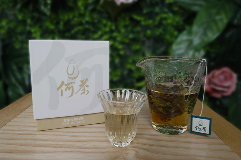 Ancient Tree White Tea